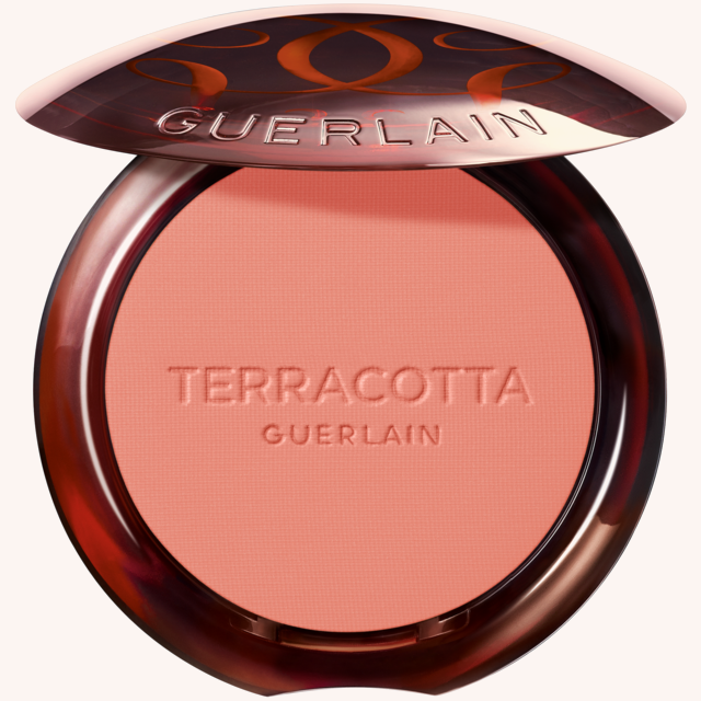 Terracotta Blush 2