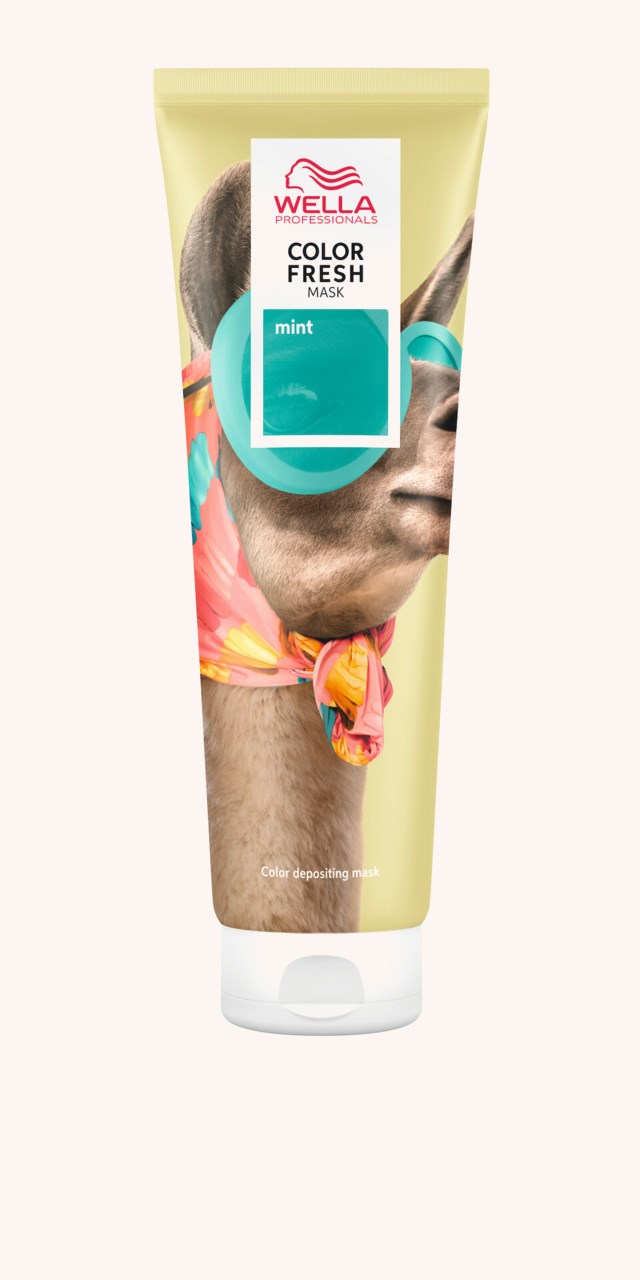 Color Fresh Mask Mint 150 ml